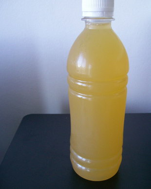 SIROP DE PEPENE GALBEN CU STEVIE DULCE- NOU