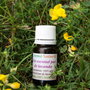 Ulei esential pur de lavanda 10ml