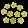 9483 - (2buc) Charms margele, jad olive, floare sculptata, 15x15x3mm