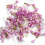 Flori uscate - Flori pentru rasina - 2 lingurite ( aprox 100+ buc)