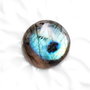 Cabochon Labradorit  rotund - 24 mm  - spectrolit