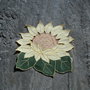 Broderie 1-630