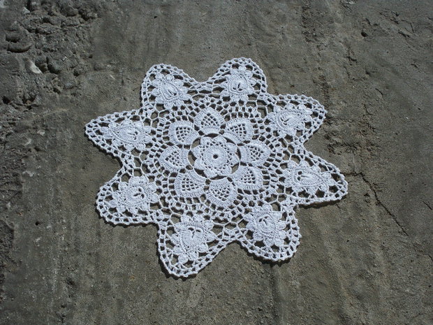Dantela 31
