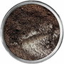 Mineral  Eyeshadow- Iced Coffee-BlueScent