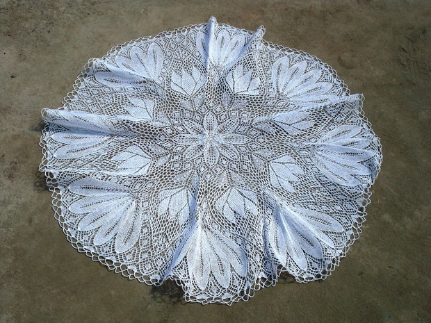 Dantela 77