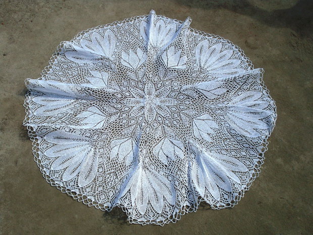 Dantela 77