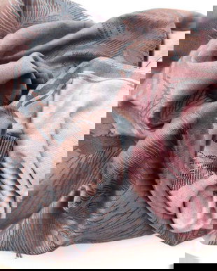 SAL SUPERB FOARTE MARE , RAFINAT , ELEGANT .