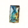 Cabochon Labradorit  flashy - spectrolit