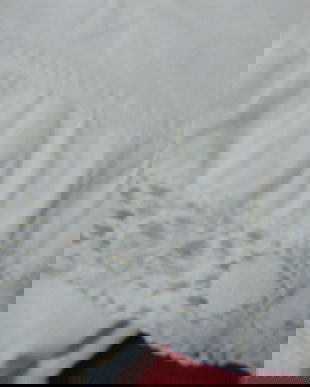 Set 2 huse perne cu dantela