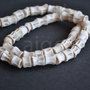 10 buc Vertebre de peste - 8-10 mm