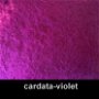 cardata - violet-25g