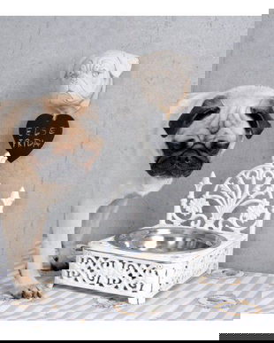 BOL NOSTALGIC PENTRU APA PENTRU CAINI