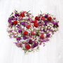 Flori uscate - mix - pentru rasina, decor