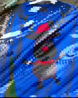 Rezervat.pulover Rudolph