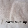 cardata - nisip-25g