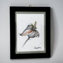 Grafica Nature & Colors Collecion