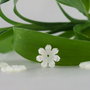 Sidef 12mm (1)