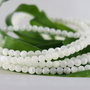 Sidef 3mm (2)