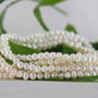 Perle cultura 3mm, cod ID7 (2)