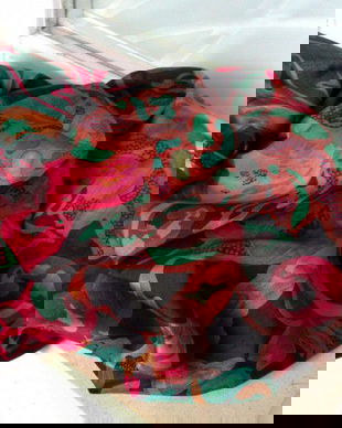 SPLENDIDA ESARFA JAGTAR MATASE NATURALA THAI SHANTUNG NATURAL