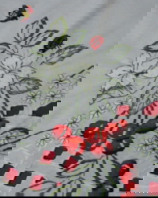 Fata de masa cu cirese