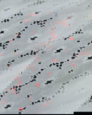 Set 2 huse perne decorative