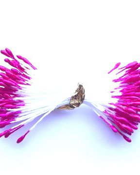 Lstamine06 - (5 buc) stamine fucsia
