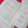 Set 4 placemat -NOI