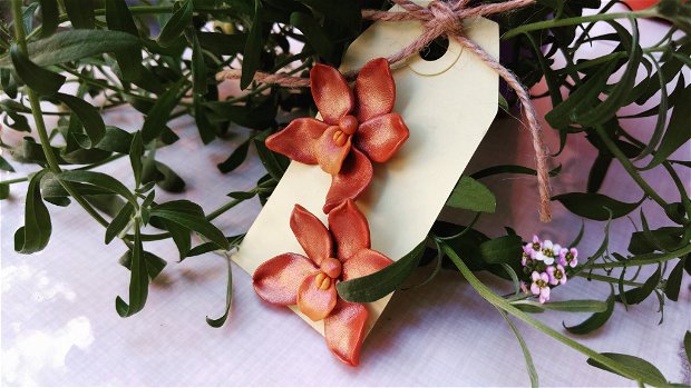 Orhidee de toamna- CONCURS - "NUANTE DE TOAMNA"