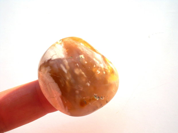 Cabochon agat