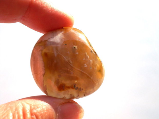 Cabochon agat
