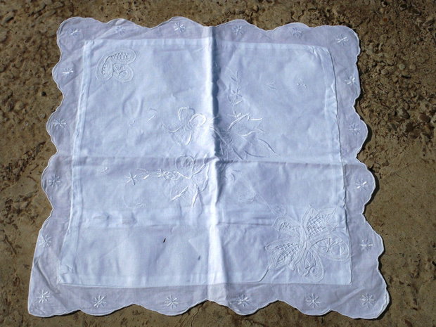 Husa perinita3