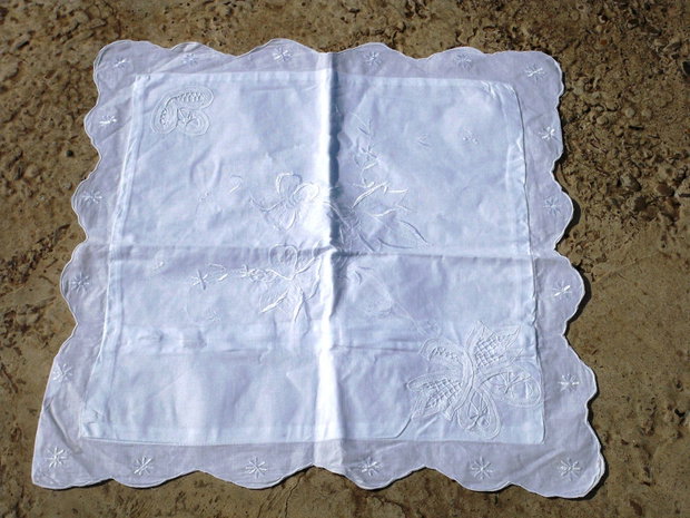 Husa perinita3
