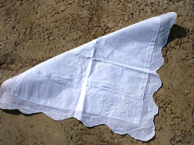 Husa perinita3