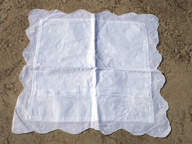 Husa perinita3
