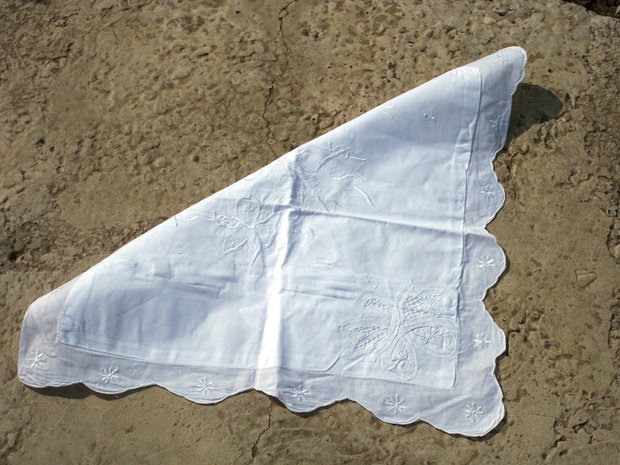 Husa perinita3