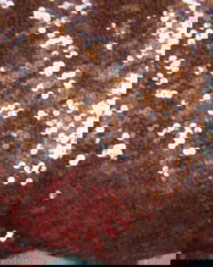 Tesatura cu paiete -traversa