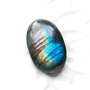 Cabochon Labradorit Oval flashy  spectrolit complet