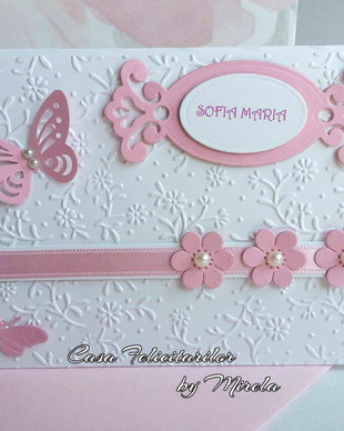 Invitatie botez fetite-cu fluturasi