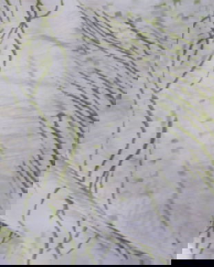 Cupon voal vernil 2m