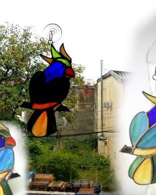 Papagal vitraliu