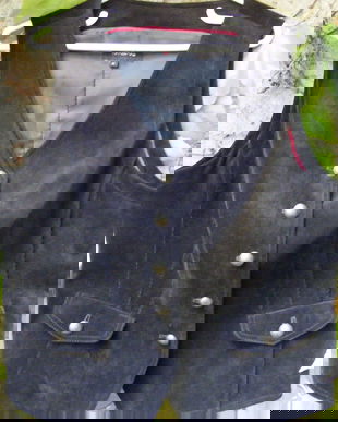 Vesta catifea reiata L