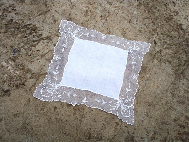 Dantela54