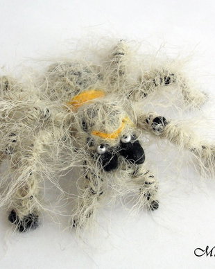 Brosa impaslita - Tarantula
