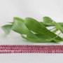 Garnet 2mm (2)