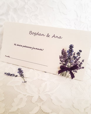 Plic de bani lavanda