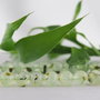 Prehnite 8mm (1)