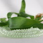 Prehnite fatetat 4x3mm (1)