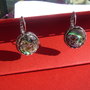 Cercei din metal finisaj satinat cu cabochon rotund din scoica paua