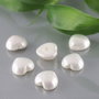 Perle seashell 14x7mm, semigaurite (1)